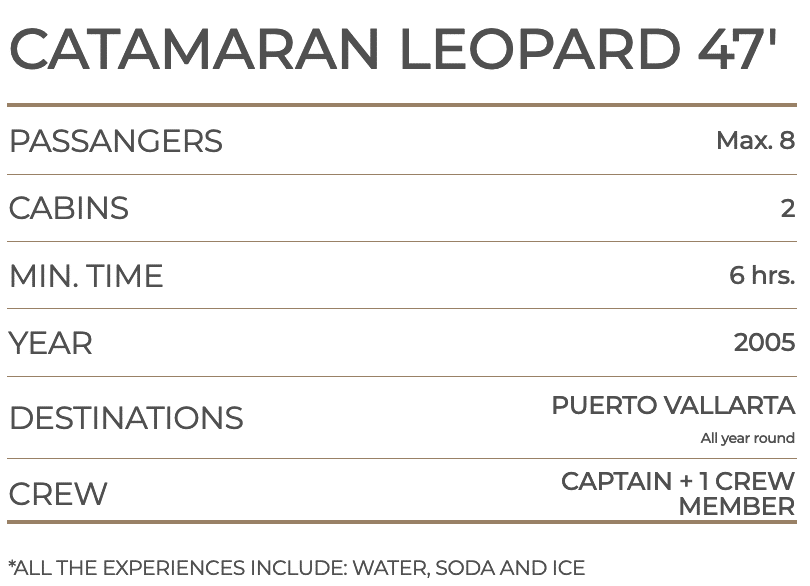 CATAMARAN LEOPARD 47'