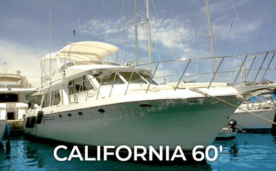 California 60'