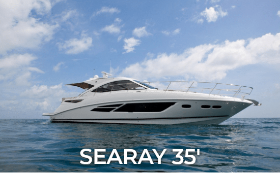 Searay 35'