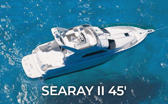 Searay II 45'
