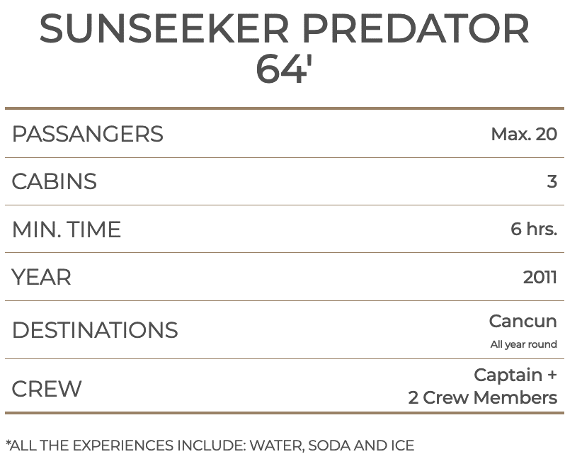 SUNSEEKER PREDATOR 64'